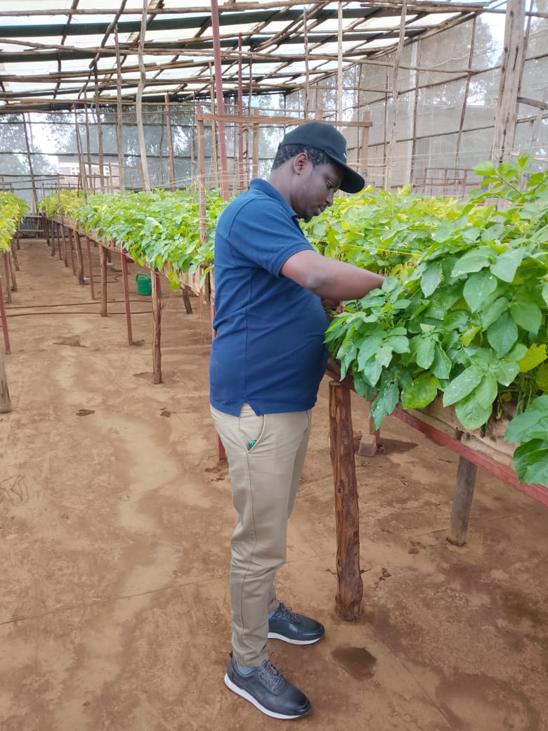 Growing Healthy Potato Seeds with Eden Organic Fertilizer