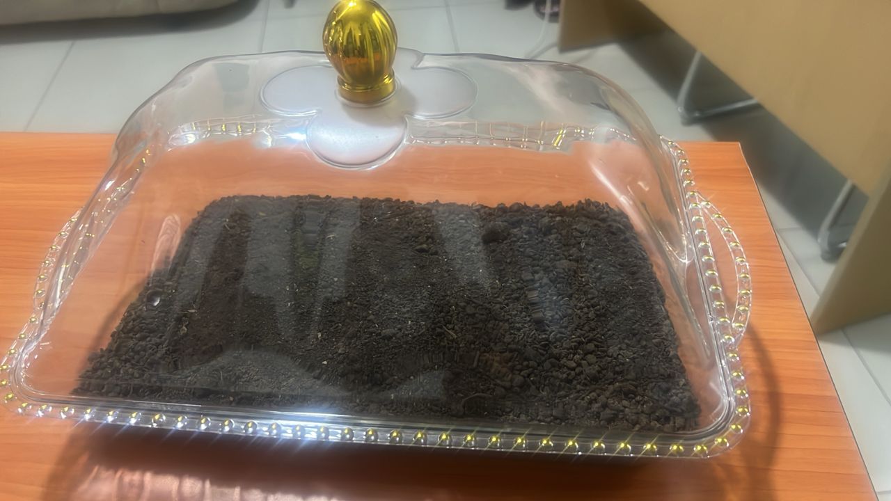 Eden Organic Fertilizer, Advanced high-performance